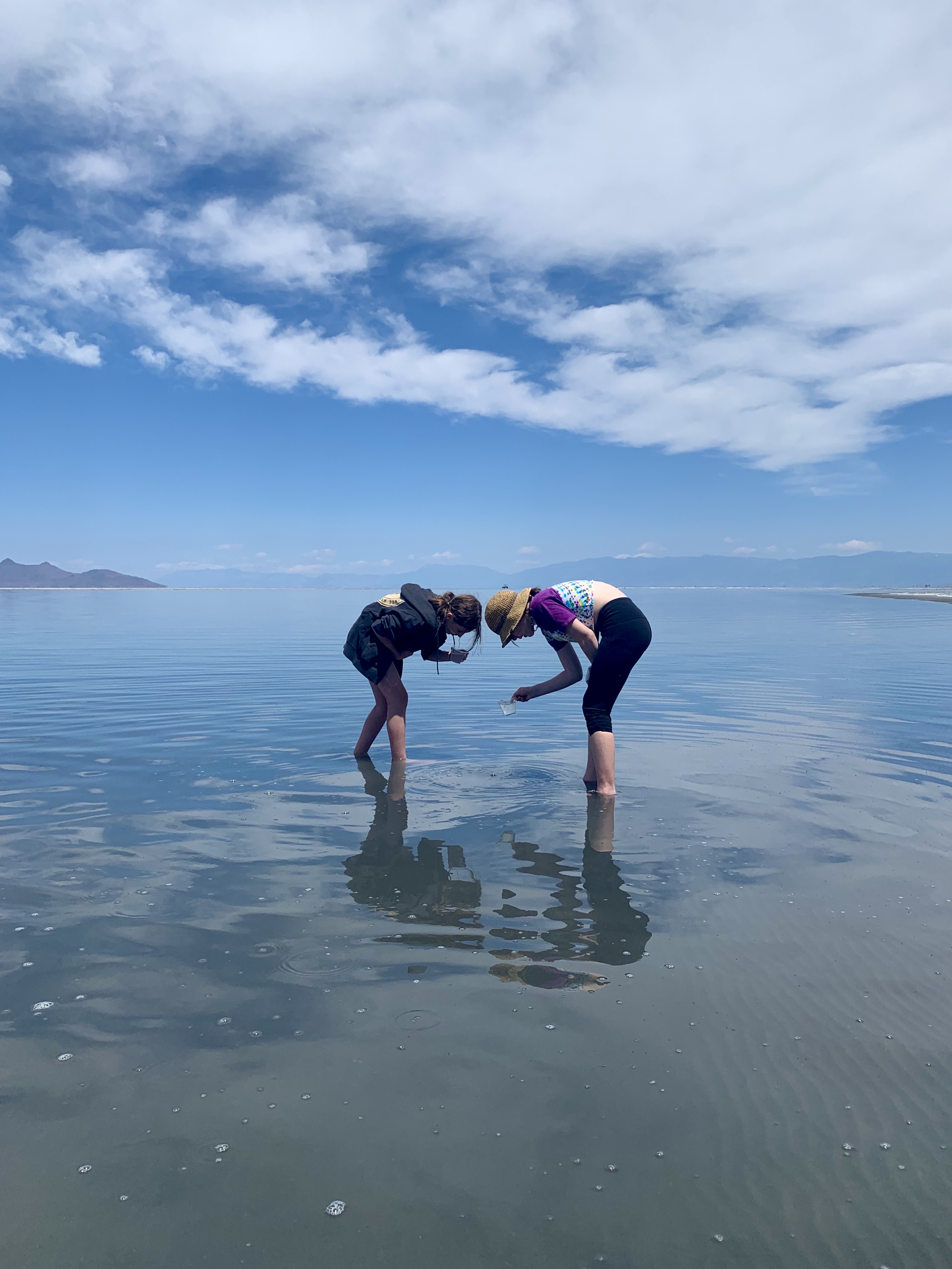 Students look for brine shrimp in Great Salt Lake.