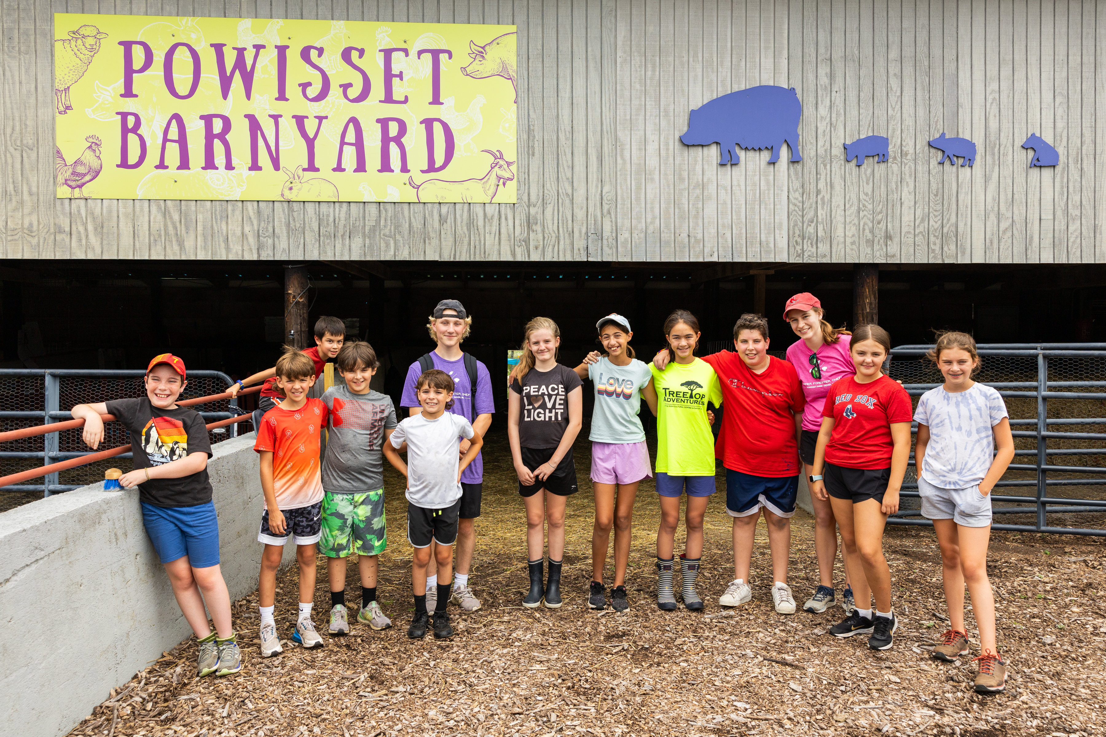 Campers in pen in Powisset Farm barnyard