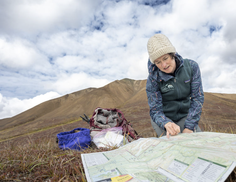 Charting the course in Denali National Park.