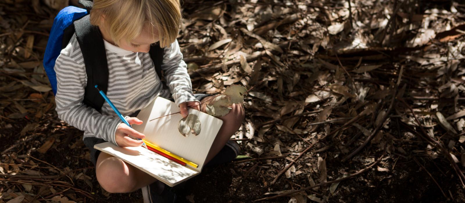 Kid doing outdoor study