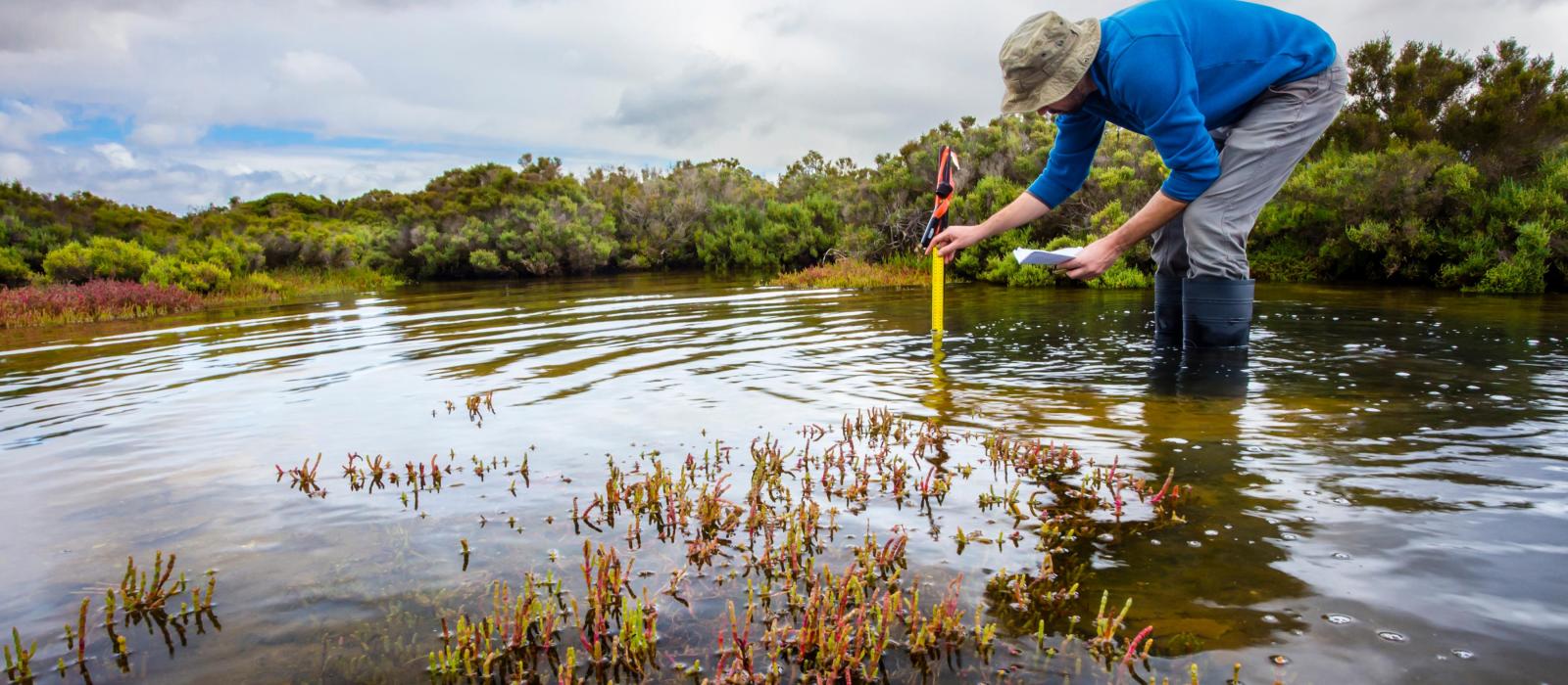 Standing in a pond, a person holds a tool and piece of paper